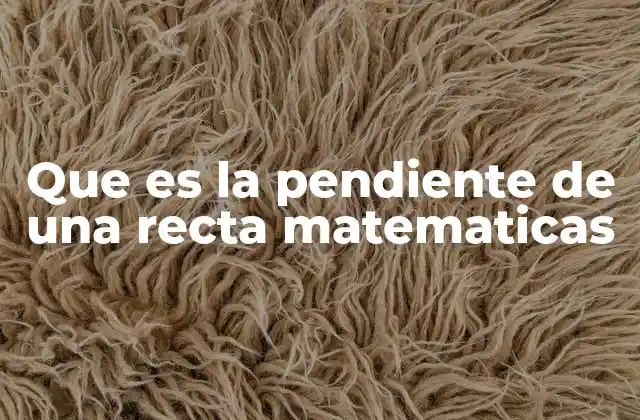 Que es la Pendiente de una Recta Matematicas