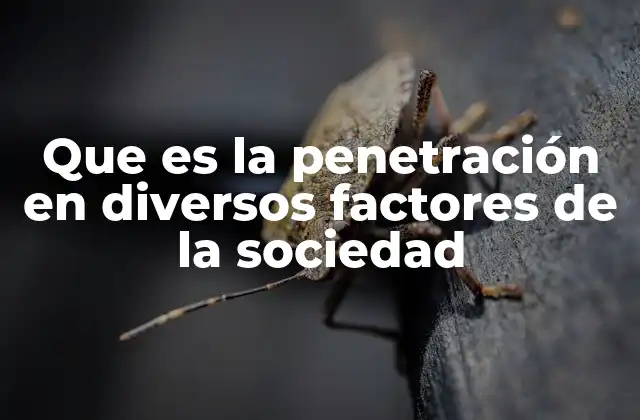 Que es la Penetración en Diversos Factores de la Sociedad