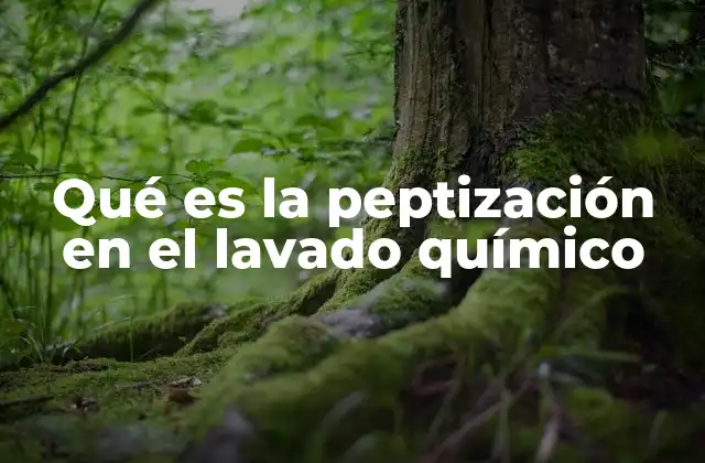 Qué es la Peptización en el Lavado Químico
