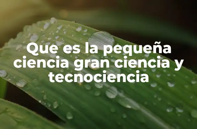 Que es la Pequeña Ciencia Gran Ciencia y Tecnociencia