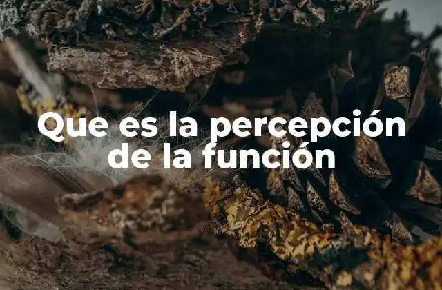 La relación entre percepción y acción en el entendimiento funcional