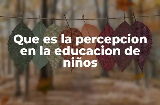 Que es la Percepcion en la Educacion de Niños