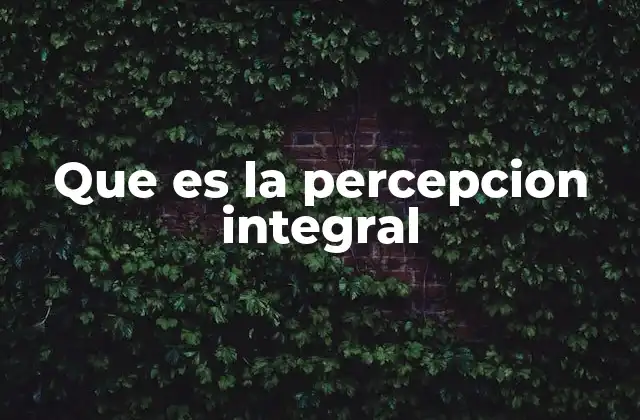 Que es la Percepcion Integral