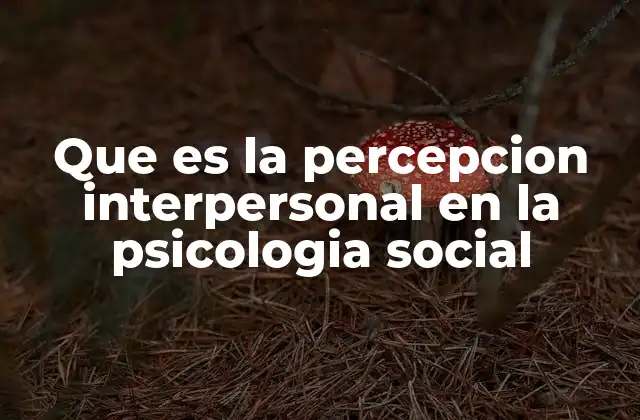 Que es la Percepcion Interpersonal en la Psicologia Social