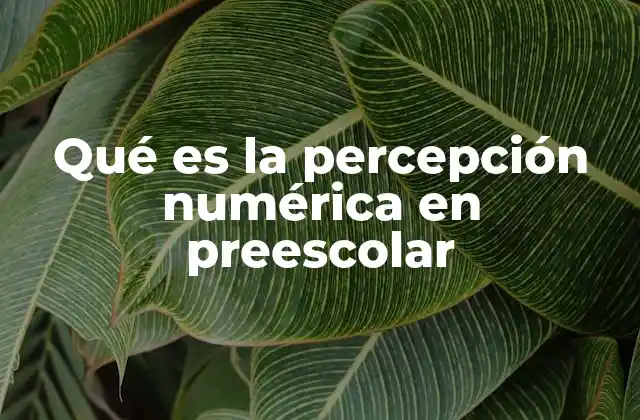 Qué es la Percepción Numérica en Preescolar