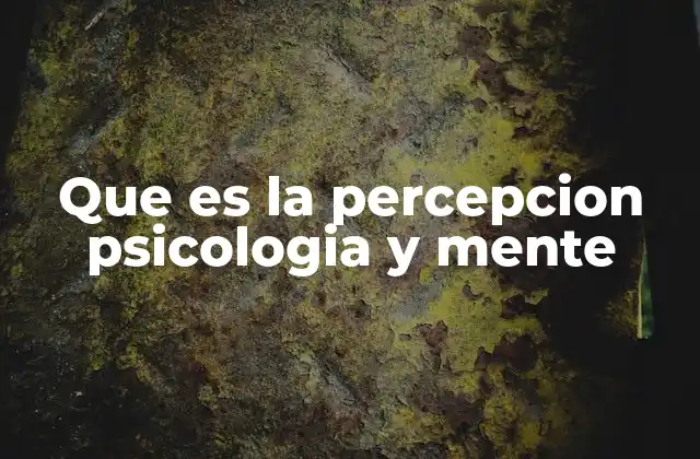 Que es la Percepcion Psicologia y Mente