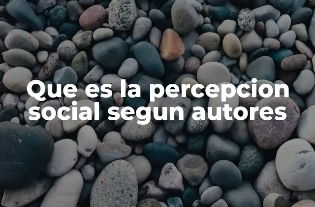 Que es la Percepcion Social Segun Autores