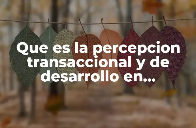 Que es la Percepcion Transaccional y de Desarrollo en Enfermeria