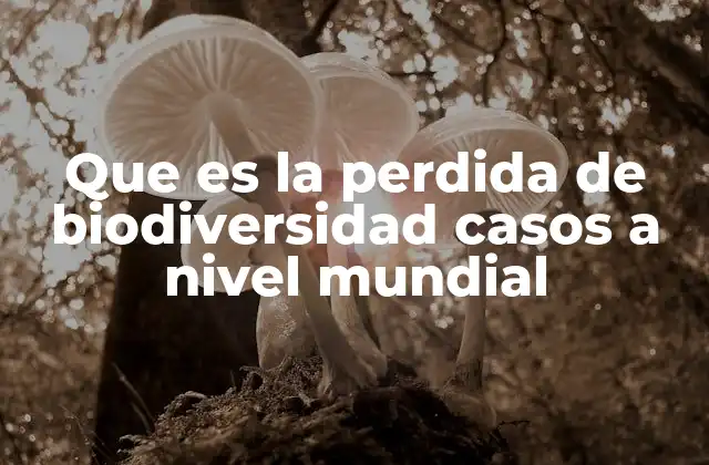 Que es la Perdida de Biodiversidad Casos a Nivel Mundial
