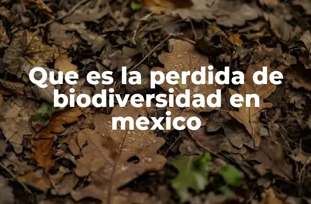 La importancia de los ecosistemas en la conservación de la biodiversidad