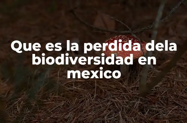 Que es la Perdida Dela Biodiversidad en Mexico