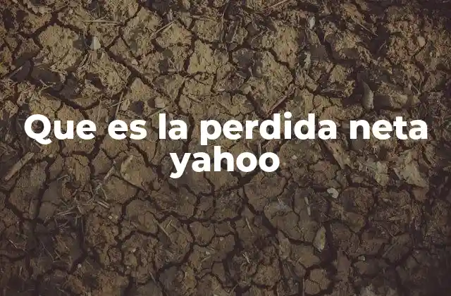 Que es la Perdida Neta Yahoo