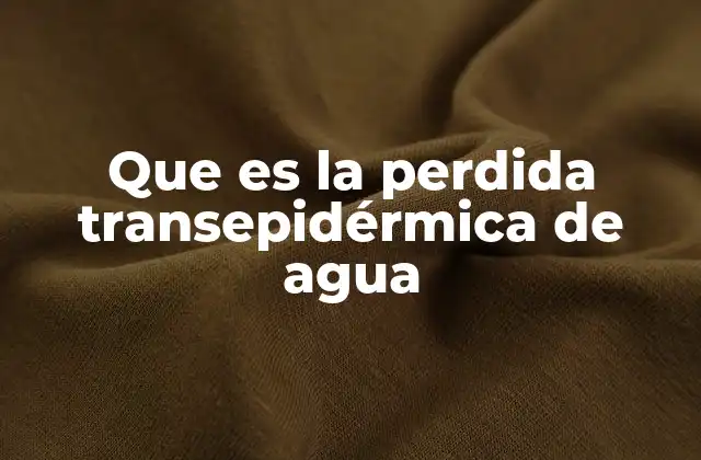 Que es la Perdida Transepidérmica de Agua