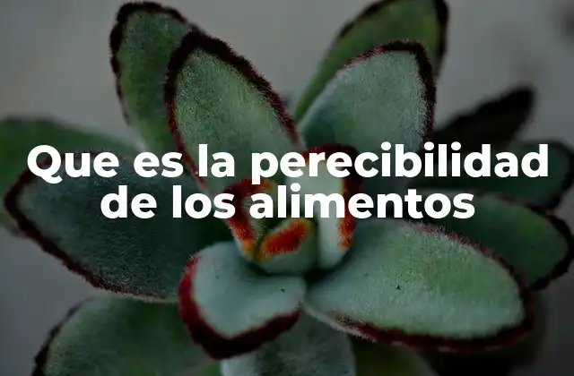 Que es la Perecibilidad de los Alimentos