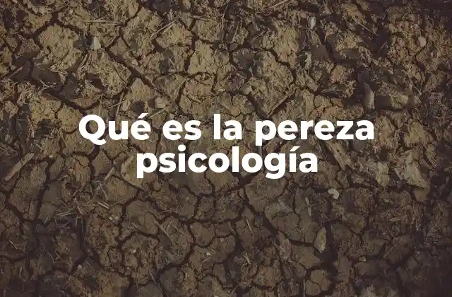 Qué es la Pereza Psicología