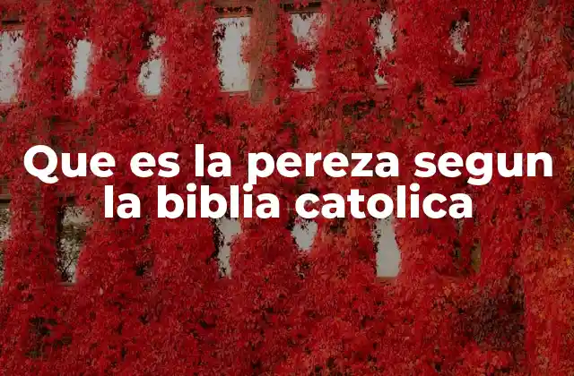 Que es la Pereza Segun la Biblia Catolica 2 La pereza como falta de amor al prójimo y a Dios