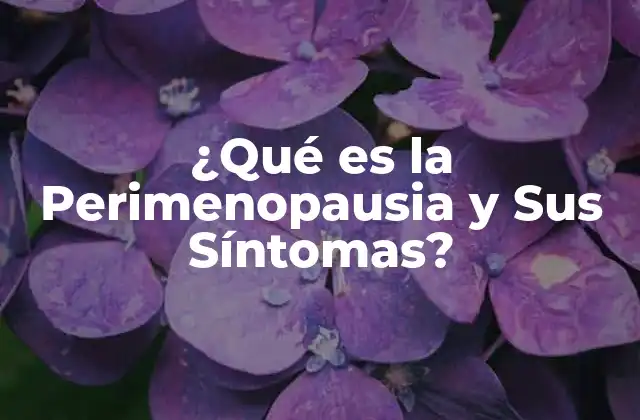 ¿qué es la Perimenopausia y Sus Síntomas?