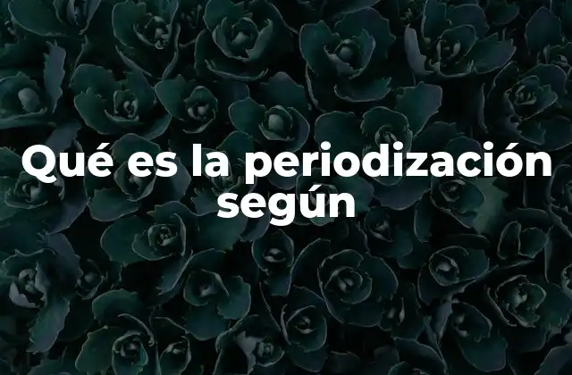 Qué es la Periodización según