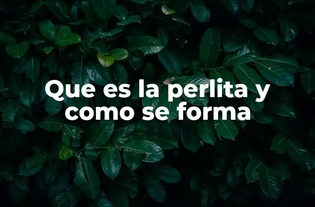 Que es la Perlita y como Se Forma