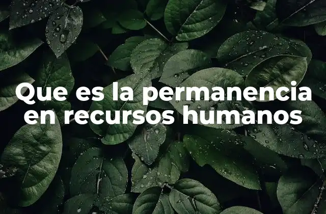 Que es la Permanencia en Recursos Humanos