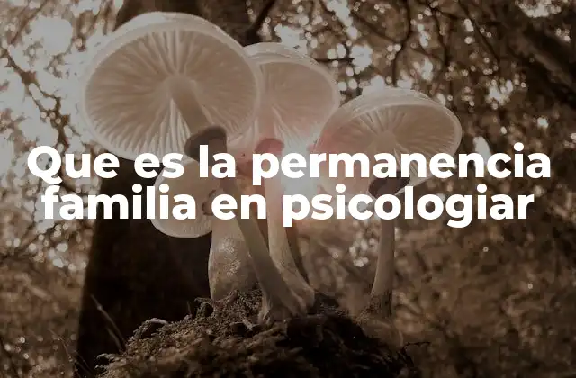 Que es la Permanencia Familia en Psicologiar