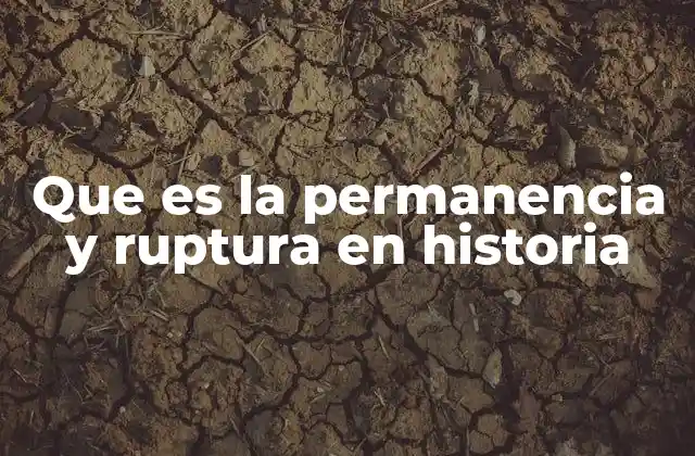 Que es la Permanencia y Ruptura en Historia