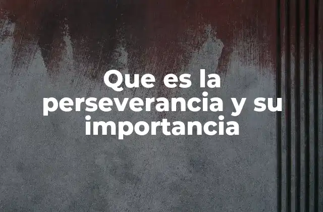 Que es la Perseverancia y Su Importancia
