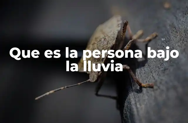 Que es la Persona bajo la Lluvia