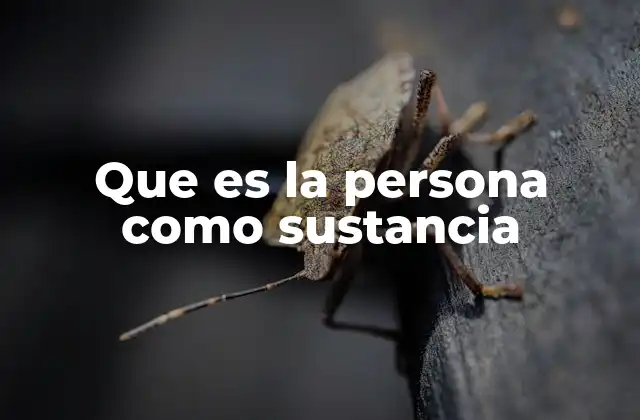 Que es la Persona como Sustancia