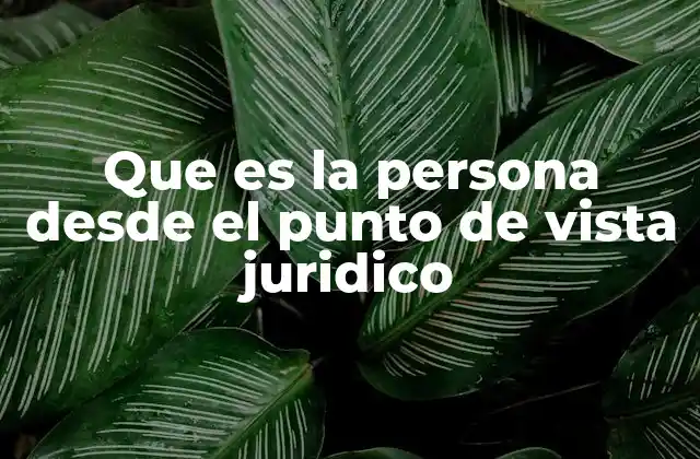 Que es la Persona desde el Punto de Vista Juridico