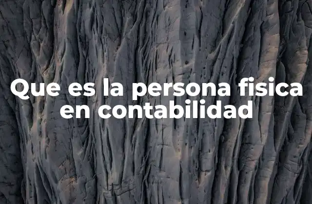 Que es la Persona Fisica en Contabilidad