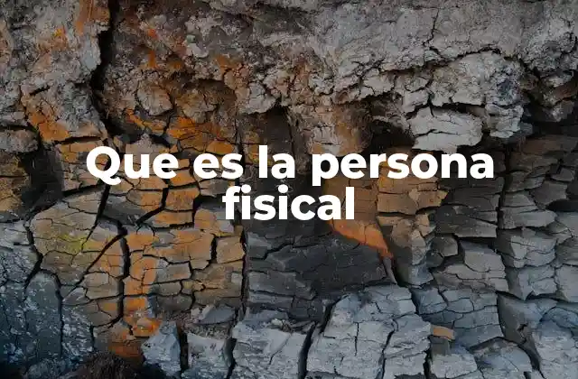 Que es la Persona Fisical