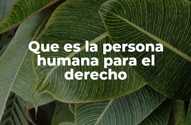 Que es la Persona Humana para el Derecho