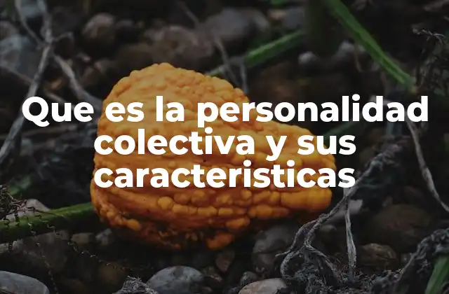 Que es la Personalidad Colectiva y Sus Caracteristicas
