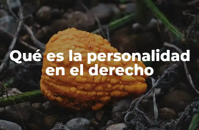 Qué es la Personalidad en el Derecho