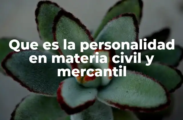 Que es la Personalidad en Materia Civil y Mercantil