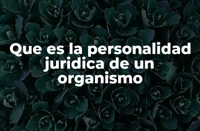 Que es la Personalidad Juridica de un Organismo