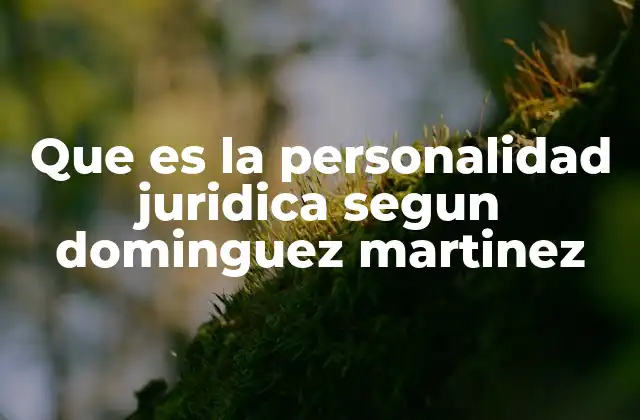 Que es la Personalidad Juridica Segun Dominguez Martinez