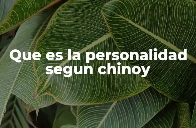 Que es la Personalidad Segun Chinoy