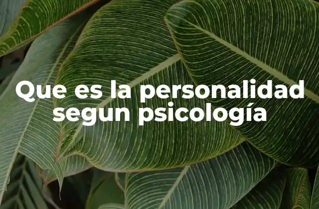 Que es la Personalidad Segun Psicología 2 La personalidad como base de la identidad humana