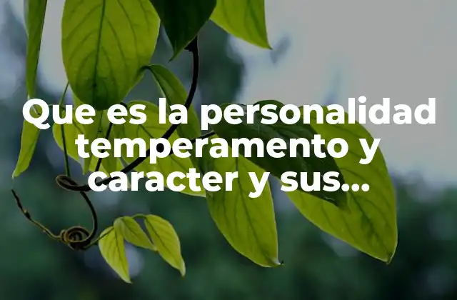 Que es la Personalidad Temperamento y Caracter y Sus Caracteristicas
