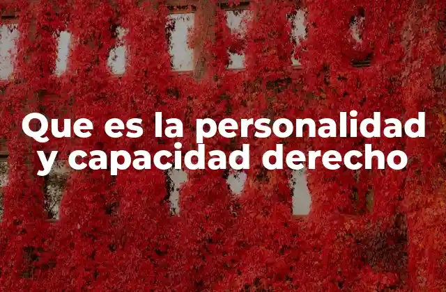 Que es la Personalidad y Capacidad Derecho