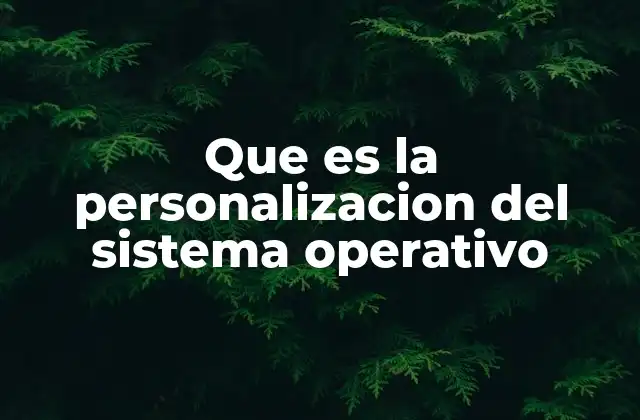 Que es la Personalizacion Del Sistema Operativo