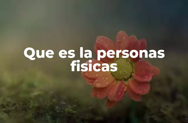 Que es la Personas Fisicas