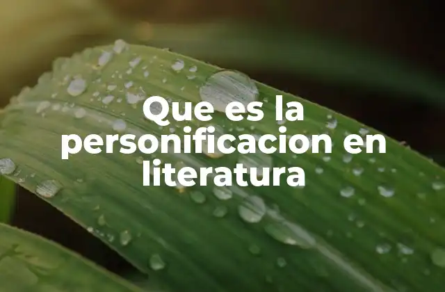 Que es la Personificacion en Literatura