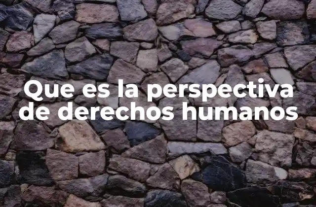 Que es la Perspectiva de Derechos Humanos