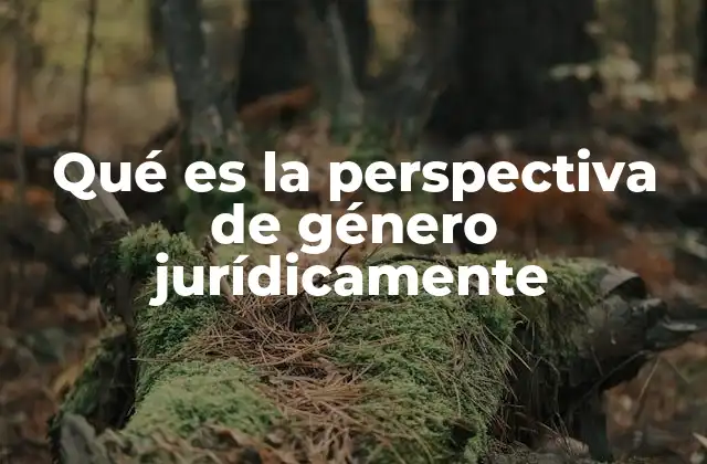 El enfoque de género como herramienta para el diseño de políticas públicas