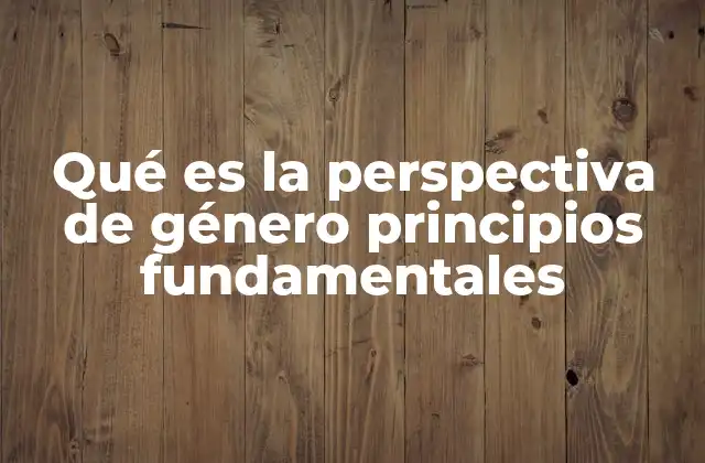 Qué es la Perspectiva de Género Principios Fundamentales