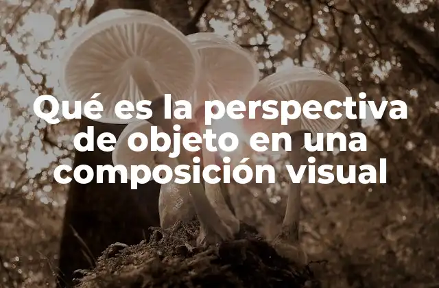 Qué es la Perspectiva de Objeto en una Composición Visual