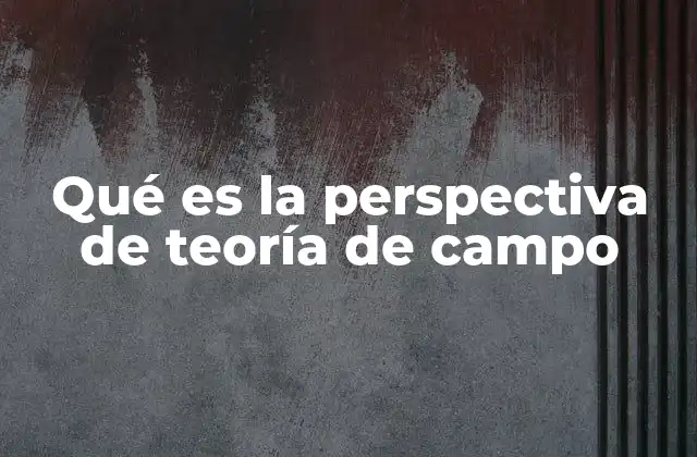 Qué es la Perspectiva de Teoría de Campo